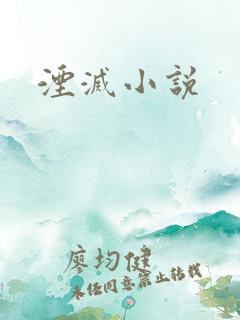 湮灭小说