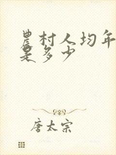 农村人均年收入是多少