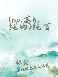 (np,高h,纯肉)纯百