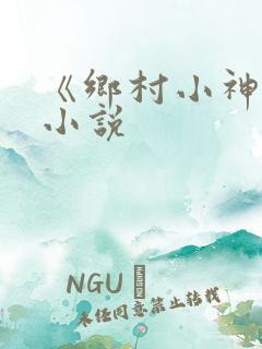 《乡村小神农》小说