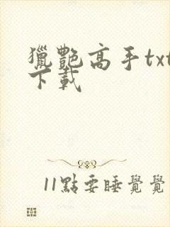 猎艳高手txt下载
