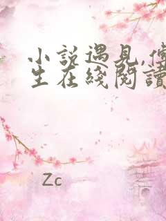 小说遇见,傅先生在线阅读
