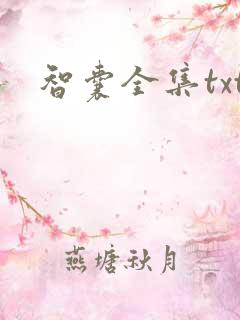 智囊全集txt