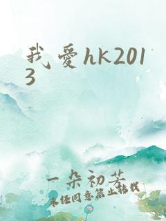 我爱hk2013