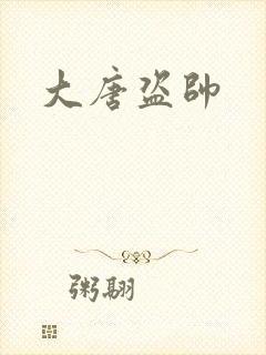 大唐盗帅