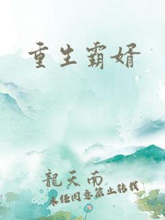 重生霸婿