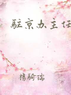 驻京办主任对手