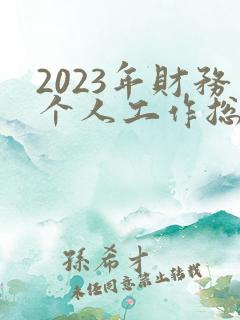 2023年财务个人工作总结