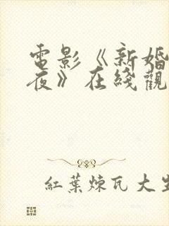 电影《新婚快乐夜》在线观看