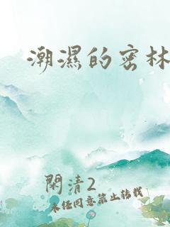潮湿的密林