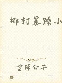 乡村暴躁小说