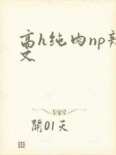 高h纯肉np辣文
