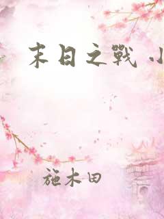 末日之战 小说