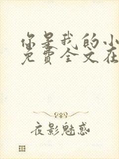 你是我的小确幸免费全文在线阅读