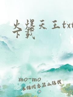 火爆天王txt下载
