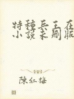 特种兵王在山村小说未删版完整