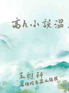 高h小说温柔