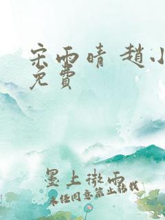 宋雨晴 赵小刚免费