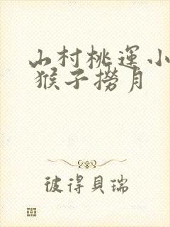 山村桃运小神医 猴子捞月