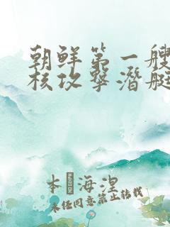 朝鲜第一艘战术核攻击潜艇下水