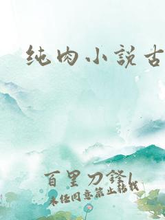 纯肉小说古代