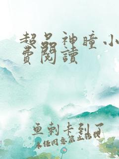 超品神瞳小说免费阅读