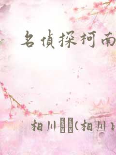 名侦探柯南h
