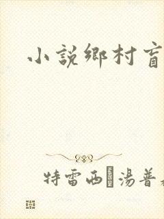 小说乡村盲医