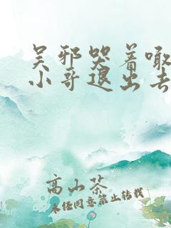 吴邪哭着喊着让小哥退出去