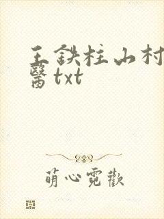 王铁柱山村小神医txt