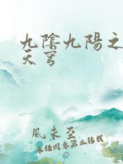 九阴九阳之武战天穹
