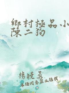 乡村极品小神医陈二狗