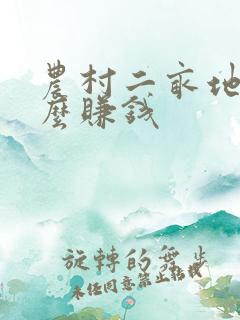 农村二亩地种什么赚钱