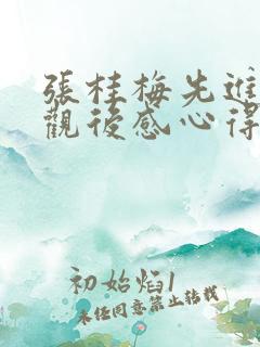 张桂梅先进事迹观后感心得范文