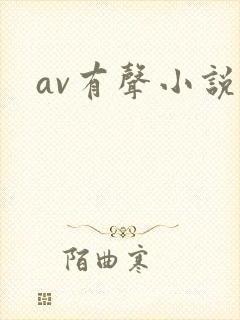 av有声小说