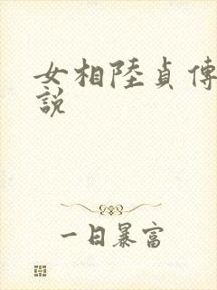 女相陆贞传奇小说