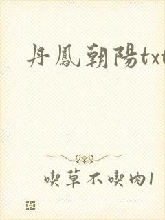 丹凤朝阳txt