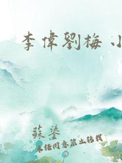 李伟刘梅 小说