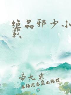 绝品邪少小说下载