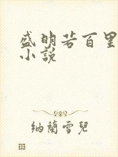 盛明若百里轻尘小说