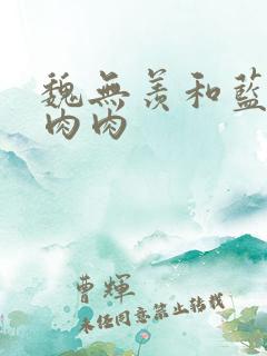 魏无羡和蓝忘机肉肉