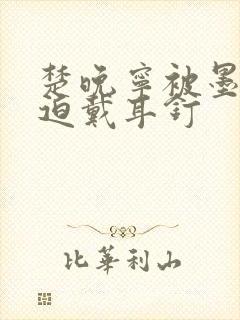 楚晚宁被墨燃强迫戴耳钉