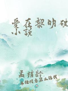 爱在黎明破晓前小说