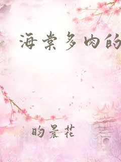 海棠多肉的文笔