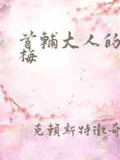 首辅大人的小青梅