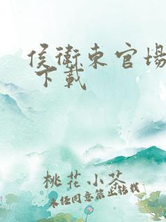 侯卫东官场笔记 下载