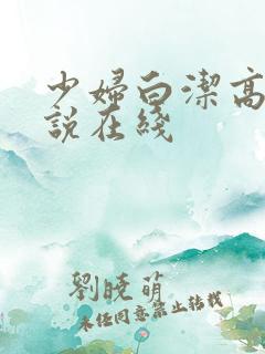 少妇白洁高义小说在线