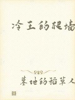 冷王的爬墙丑妃