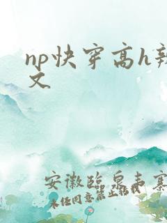 np快穿高h辣文