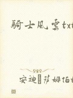 骑士风云txt